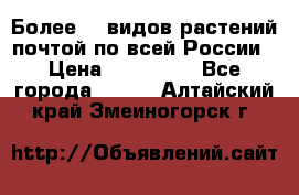 Более200 видов растений почтой по всей России › Цена ­ 100-500 - Все города  »    . Алтайский край,Змеиногорск г.